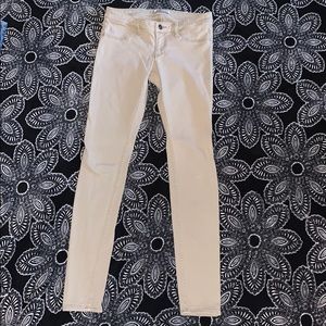 Hollister khaki color jeans